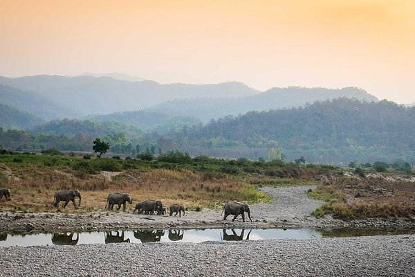 Nainital Jim Corbett Tour Package from Delhi Nainital Jim Corbett Tour Package from Delhi