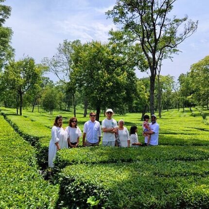 Dharamshala Palampur Tour Package from Delhi