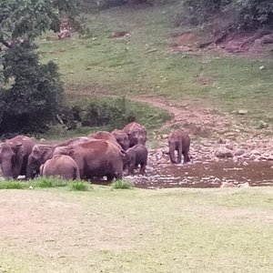 Kodaikanal Tour Package from Vadodara 5 Days