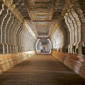 Kodaikanal Madurai Dindigul Tour Package from Mumbai 5 Days