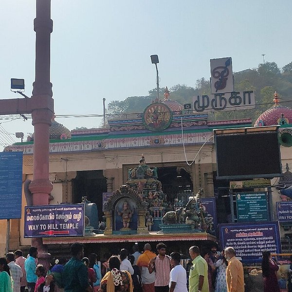 Kodaikanal Palani Murugan Temple Munnar Tour Package 5 Days Kodaikanal Palani Murugan Temple Munnar Tour Package 5 Days