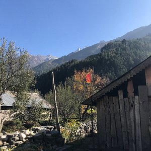 Munsiyari Pithoragarh Chaukori Tour Package 4 Days