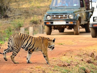 Satpura Tamia Patalkot Tour Package 3 Days