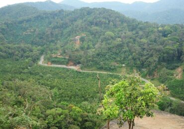 coorg tour package from udupi 4 days