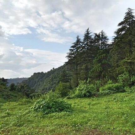 Mussoorie Tehri Lake Kanatal tour package 3 days