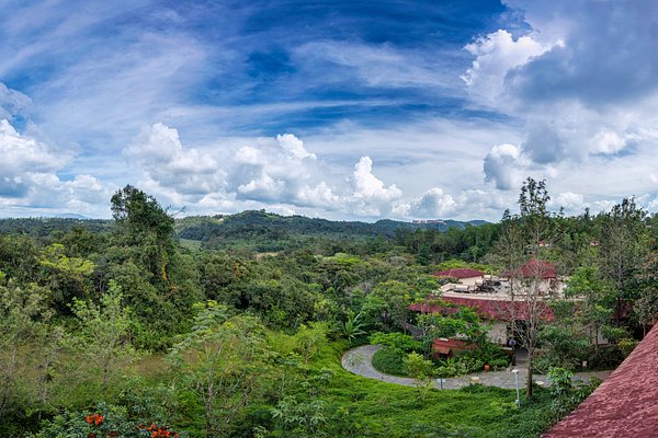 coorg tour package from chennai 4 days coorg tour package from chennai 4 days