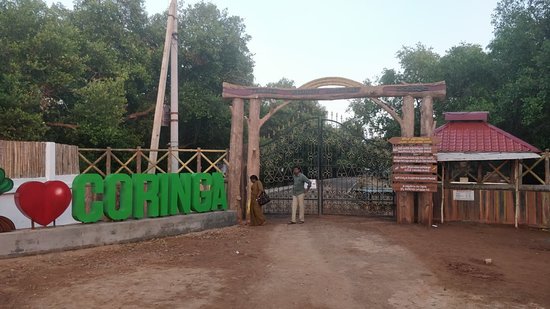 Coringa Tour Package 2 Days Best Price Coringa Tour Package 2 Days Best Price