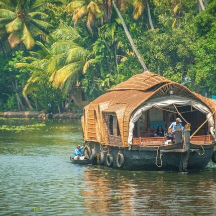 Kodaikanal Palani Murugan Temple Munnar Thekkady Tour Package 6 Days