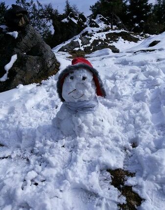 Chakrata Tiger Falls Deoban tour package 3 days