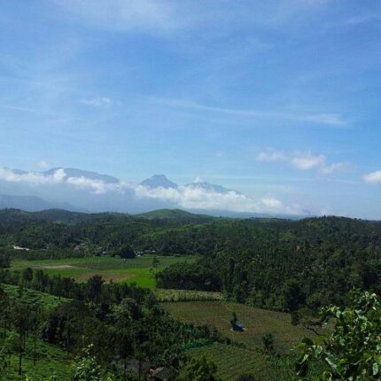 Gudalur Tour Package 2 Days