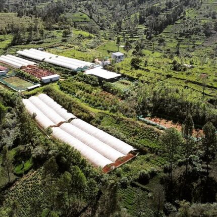 Ooty Coonoor Kotagiri Wayanad Tour Package from Mumbai 6 Days