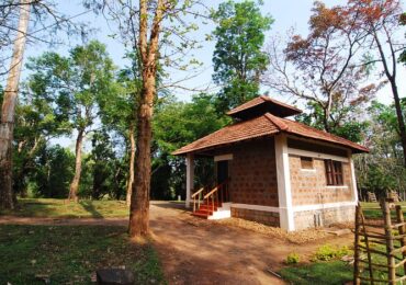 coorg talacauvery dubare tour package 4 days