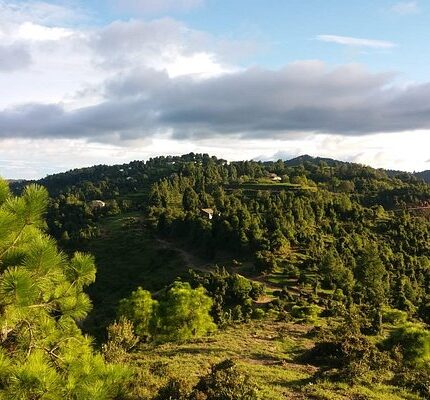 Kausani Baijnath Binsar Tour Package 4 Days