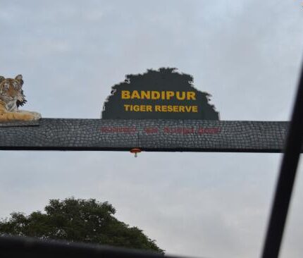 Ooty Coonoor Mysore Bandipur National Park Tour Package 6 Days