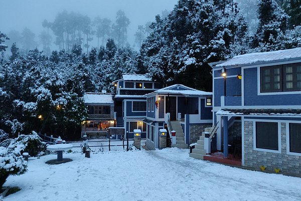 Kausani Bageshwer Almora Binsar Tour Package 5 Days Kausani Bageshwer Almora Binsar Tour Package 5 Days
