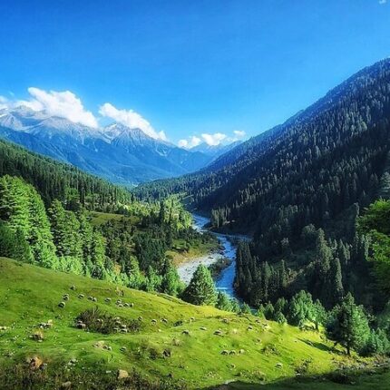 Gulmarg Pahalgam Doodhpathri Tour Package 5 Days