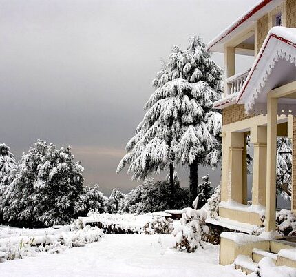 Binsar Jageshwar Tour Package 3 Days