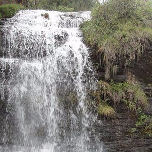 Kodaikanal Coakers Walk Pillar Rocks Berijam Lake Guna Caves Silver Cascade Falls Tour Package 5 Days