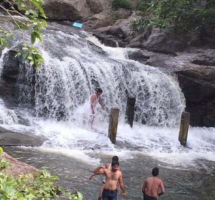 Yercaud Tour Package from Kochi 3 Days