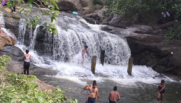 Yercaud Tour Package from Kochi 3 Days Yercaud Tour Package from Kochi 3 Days