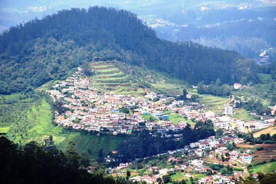 Ooty Botanical Garden Rose Garden Doddabetta Peak Coonoor Tour Package 4 Days Ooty Botanical Garden Rose Garden Doddabetta Peak Coonoor Tour Package 4 Days