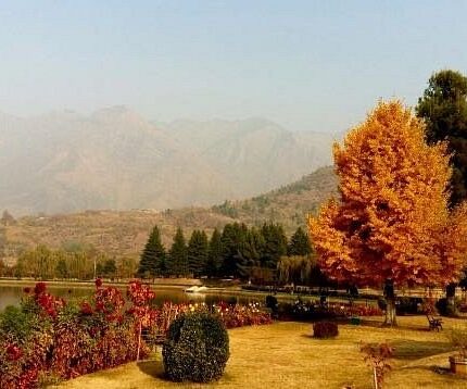 Srinagar Gulmarg Pahalgam Yusmarg Tour Package 6 Days