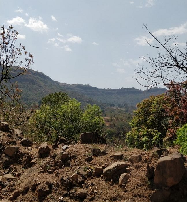 Patalkot Valley Tour Package 2 Days Patalkot Valley Tour Package 2 Days