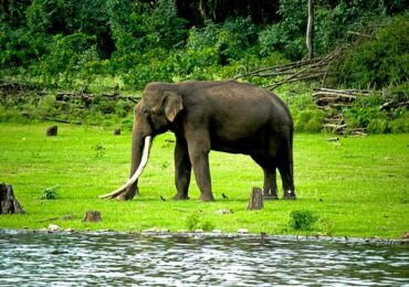 coorg kabini tour package 3 days