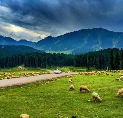 Srinagar Doodhpathri Tour Package 3 Days