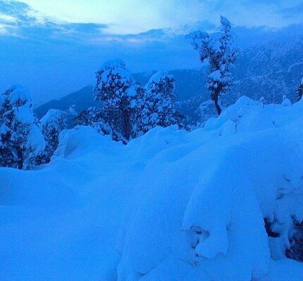 palampur kangra masroor temples tour package 5 days