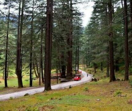 Mussoorie Dhanaulti Kanatal Chakrata Tiger Falls tour package 6 days