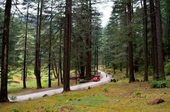 Mussoorie Dhanaulti Kanatal Chakrata Tiger Falls tour package 6 days Mussoorie Dhanaulti Kanatal Chakrata Tiger Falls tour package 6 days