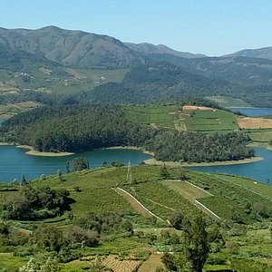 Avalanche Lake Tour Package 2 Days