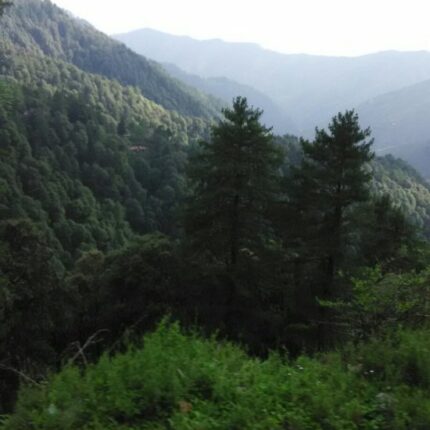 Chakrata Deoban tour package 3 days