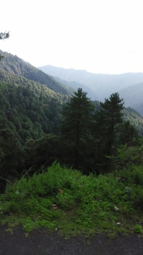 Chakrata Deoban tour package 3 days Chakrata Deoban tour package 3 days