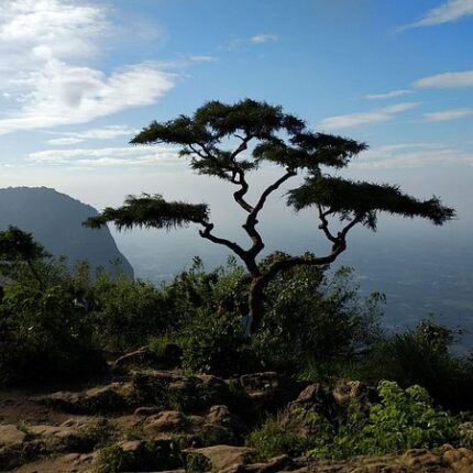 Nelliyampathy Tour Package 2 Days