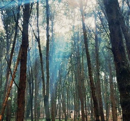 Kodaikanal Madurai Dindigul Tour Package from Bangalore 4 Days