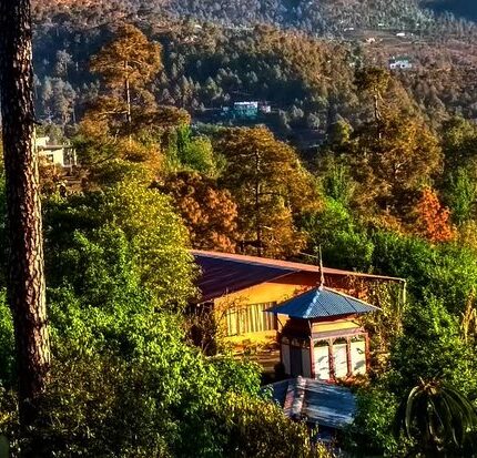 Chaukori Berinag Tour Package 3 Days