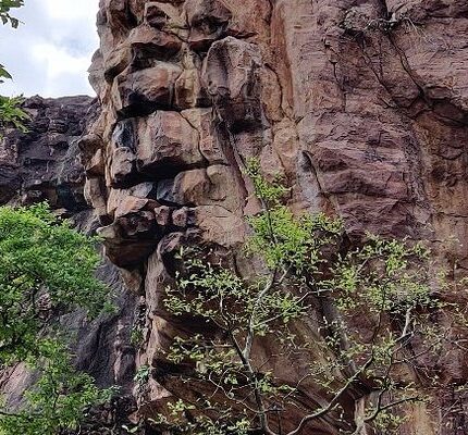 Bhimbetka Tour Package 2 Days