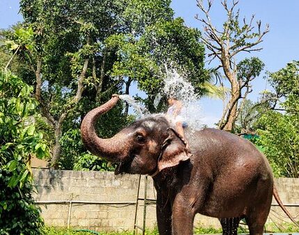 Thekkady Tour Package 2 Days