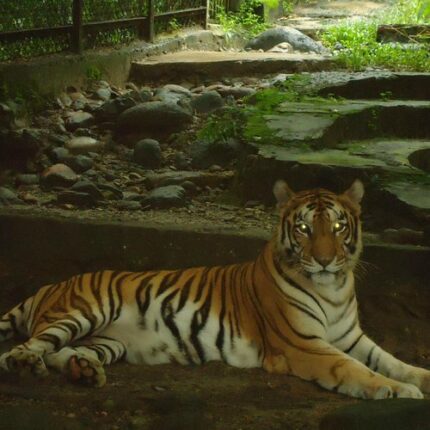 Itanagar Tawang Bumla Sangetsar Zemithang Package 9 Days