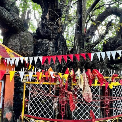 auli tour package from mumbai 5 days