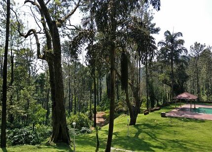 chikmagalur tour package from kolkata 4 days