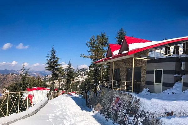 shimla kufri chail naldehra tour package 5 days shimla kufri chail naldehra tour package 5 days