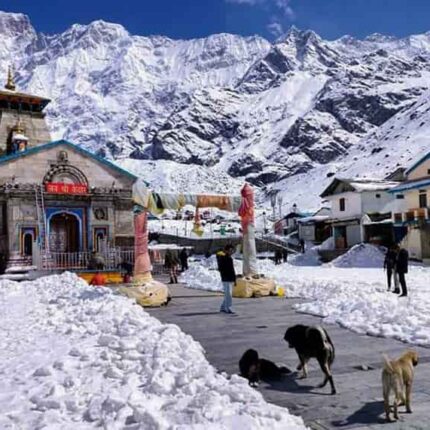 kedarnath tour package from nagpur