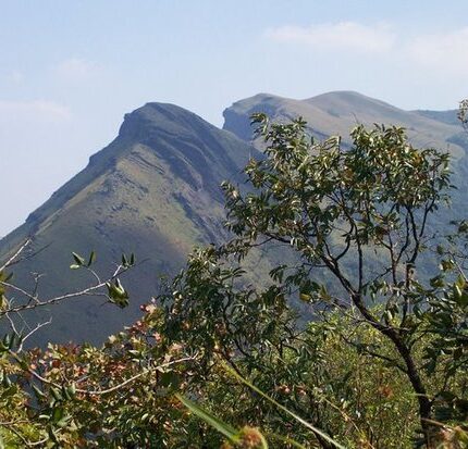 kemmanagundi bhadra wildlife sanctuary tarikere tour package