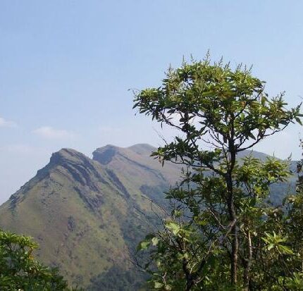 Kemmanagundi Tour Package 2 Days