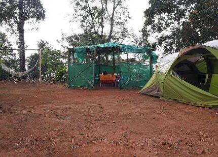 kemmanagundi tour package from coimbatore