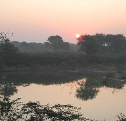 Khijadiya Tour Package 2 Days