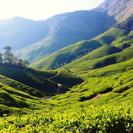 Theni Tour Package 2 Days